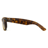 Thumbnail for Product Image