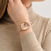 Thumbnail for Ted Baker Phylipa Fashion Ladies Pink Watch BKPPHF307