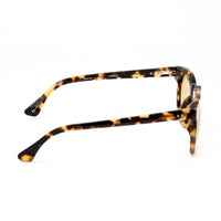 Thumbnail for Dries Van Noten x Linda Farrow Tortoiseshell Sunglasses